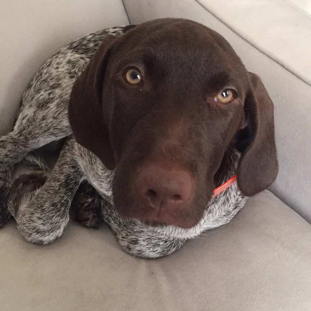 Meet your Posher, Cynthia